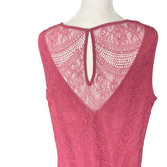 Nanette Lepore 12 Countryside Dreams Shift Dress Pink Lace Sleeveless NWT - Picture 8 of 10